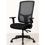 Cadeira de Escritório Tela PRYUS Back System – Cor Preto – 20099 Móveis Única Cadeira de Tela 12