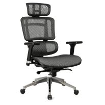 Cadeira de Escritório Presidente TELA DOM - Cor Preta - 32869